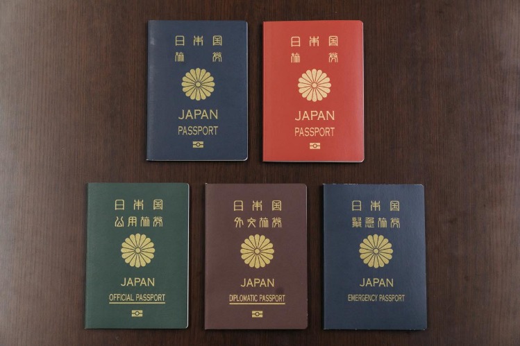 日凌晨,秒日志,世界杯竞猜,世界杯竞猜,2026世界杯,竞猜策略,赛事分析,实时更新